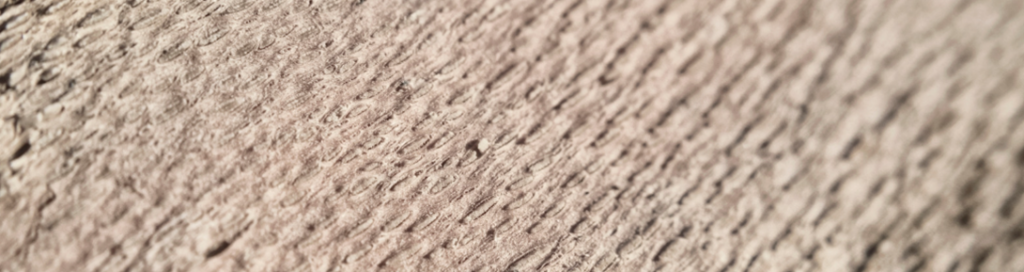 Porous wood surface. 